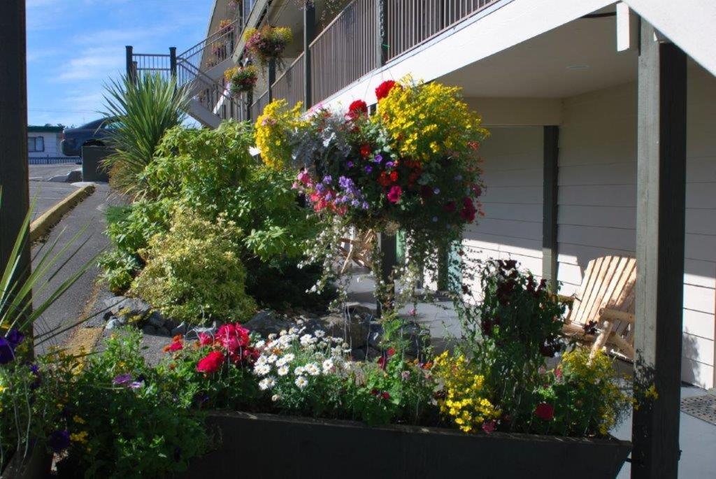 Pacific Rim Motel Ucluelet Ngoại thất bức ảnh