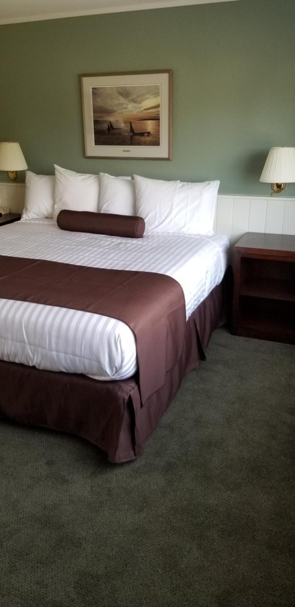 Pacific Rim Motel Ucluelet Ngoại thất bức ảnh
